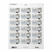 Boekhoudkundig verzendadres label sjabloon (Full Sheet)
