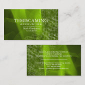 Boekhoudkundig Visitekaartje Groene witte-dollarte (Voorkant / Achterkant)