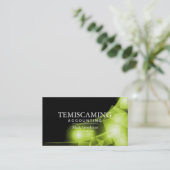 Boekhoudkundig Visitekaartje - Zwart-groene vierka (Staand voorkant)