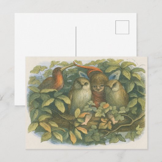 boekillustratie van fee, uilen en vogel briefkaart (Voorkant / Achterkant)