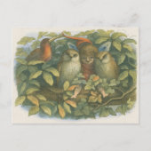 boekillustratie van fee, uilen en vogel briefkaart (Voorkant)