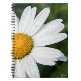 boekje foto margriet notitieboek