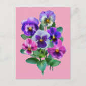 Boekje van Violets Pansy Flowers DANK JE Briefkaart (Voorkant)