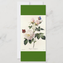 Boeklegger met vintage botanische kunst witte roze