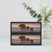 Boekmarkers voor poolBeren Briefkaart (Staand voorkant)