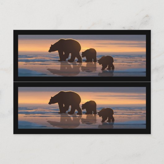 Boekmarkers voor poolBeren Briefkaart (Voorkant)