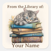Boekplaat met kat liggend op boeken vierkante sticker (Voorkant)