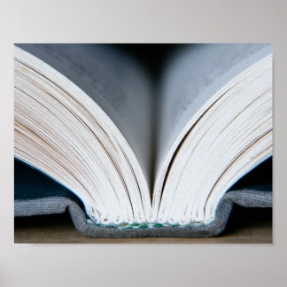 Boekruggengraat (poster) poster