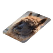 BOEKWEIT MAGNEET (Linkerzijde)