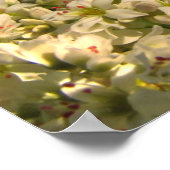 Boekweit Poster (Hoek)