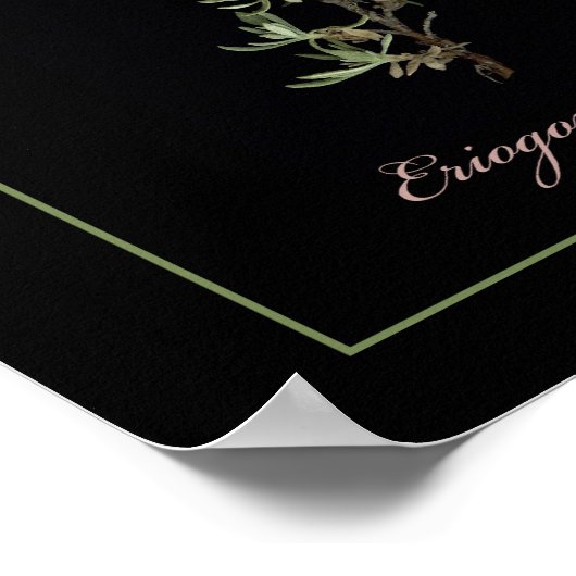 Boekweitfoto van de rechter poster (Hoek)