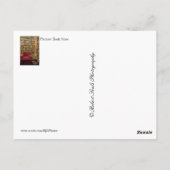Boekwinkel Briefkaart (Achterkant)