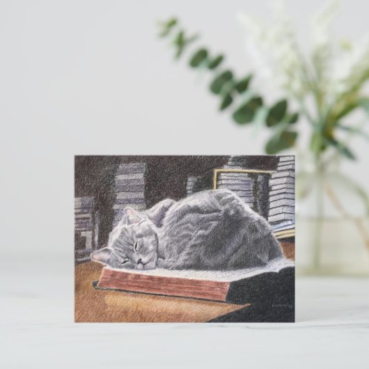 Boekwinkel Cat Briefkaart (Staand voorkant)