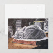 Boekwinkel Cat Briefkaart (Voorkant / Achterkant)