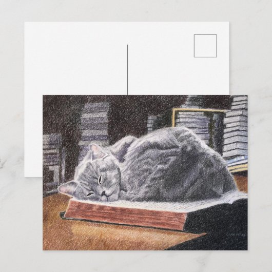 Boekwinkel Cat Briefkaart (Voorkant / Achterkant)