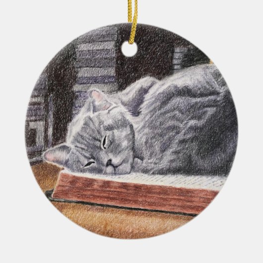 Boekwinkel Cat Keramisch Ornament (Voorkant)