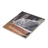 Boekwinkel Cat Tegeltje (Zijkant)