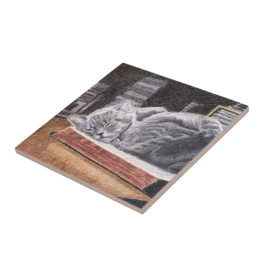 Boekwinkel Cat Tegeltje (Zijkant)