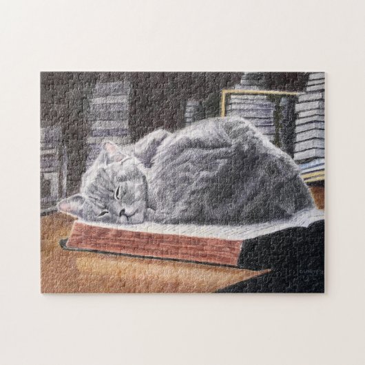 Boekwinkelkat Legpuzzel (Horizontaal)
