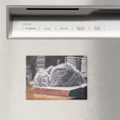 Boekwinkelkat Magneet (Insitu (Vaatwasser))