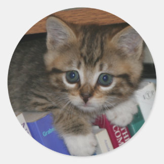 Boekwormsticker Ronde Sticker