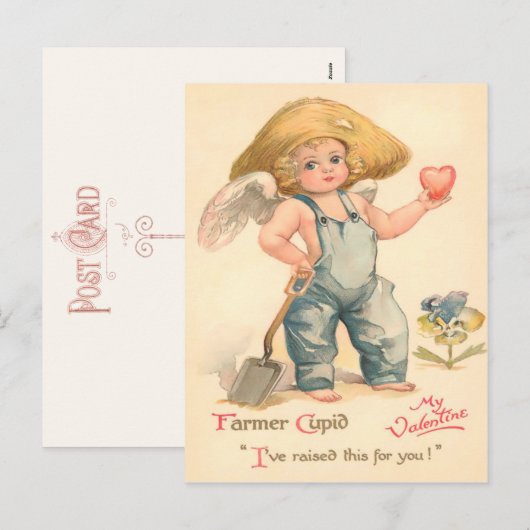  boer Cupido Valentijn Briefkaart (Voorkant / Achterkant)