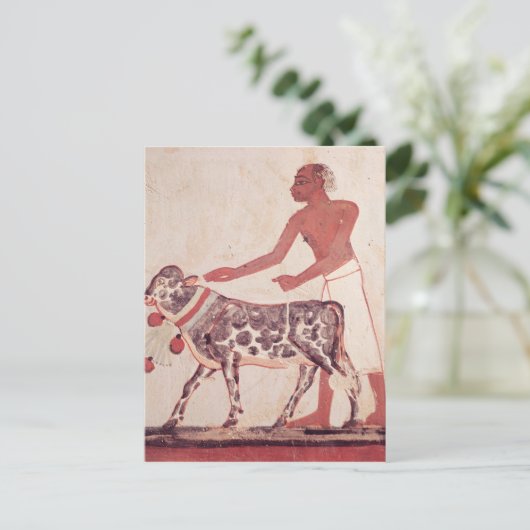 Boer die een koe leidt om op te offeren briefkaart (Staand voorkant)