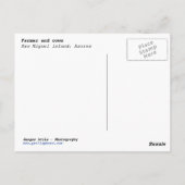 Boer en koeien briefkaart (Achterkant)