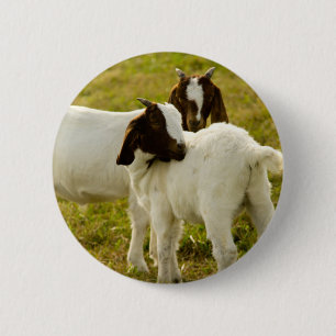 Boer-geiten in zonnige weide boerderijdier natuur ronde button 5,7 cm