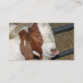 Boer Goat Billy tikt zijn tong uit Visitekaartje (Achterkant)