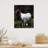 Boer Goat Moeder and Baby Poster Print (Keuken)
