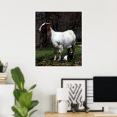 Boer Goat Moeder and Baby Poster Print (Thuiskantoor)