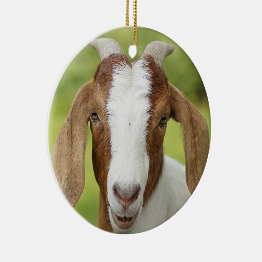 Boer Goat Nanny Kind Keramisch Ornament (Rechts)