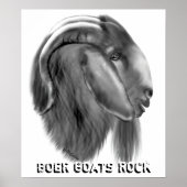 Boer Goat Poster (Voorkant)