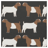 Boer Goats on Black Stof (Close Up)