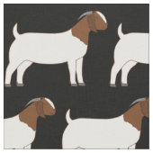 Boer Goats on Black Stof (Close Up)