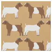 Boer Goats op Tan Stof (Close Up)