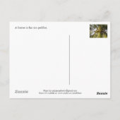 Boer in zijn veld bij Preah Dak Briefkaart (Achterkant)