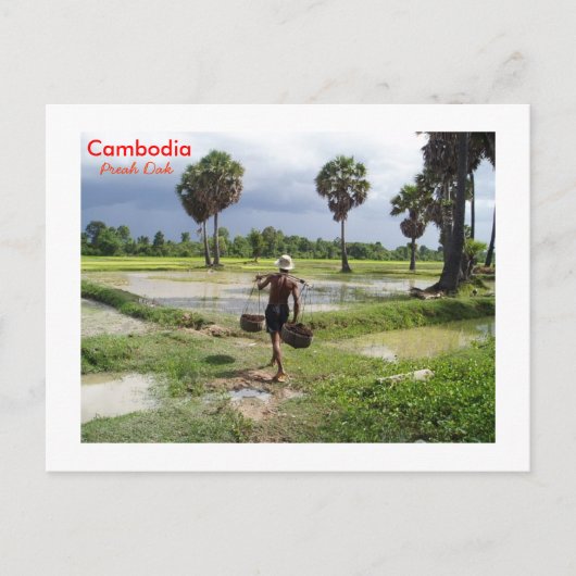 Boer in zijn veld bij Preah Dak Briefkaart (Voorkant)