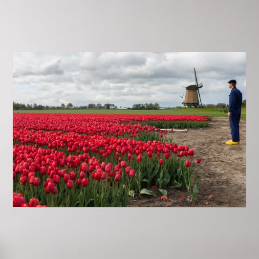 Boer inspecteert zijn tulpen en molen poster (Voorkant)