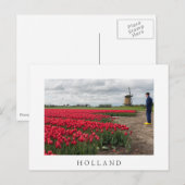 Boer inspecteert zijn tulpen en windmolen briefkaart (Voorkant / Achterkant)
