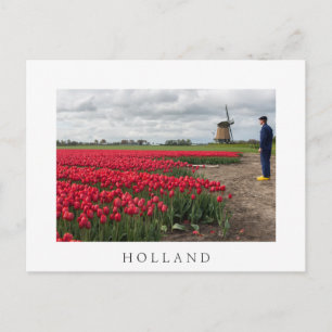 Boer inspecteert zijn tulpen en windmolen briefkaart