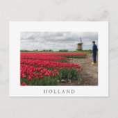 Boer inspecteert zijn tulpen en windmolen briefkaart (Voorkant)