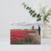 Boer inspecteert zijn tulpen en windmolen briefkaart (Staand voorkant)