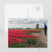 Boer inspecteert zijn tulpen en windmolen briefkaart (Voorkant / Achterkant)
