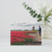 Boer inspecteert zijn tulpen en windmolen briefkaart (Staand voorkant)