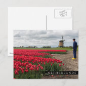 Boer inspecteert zijn tulpen en windmolen briefkaart (Voorkant / Achterkant)