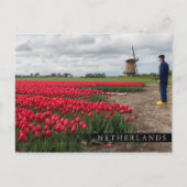 Boer inspecteert zijn tulpen en windmolen briefkaart (Voorkant)