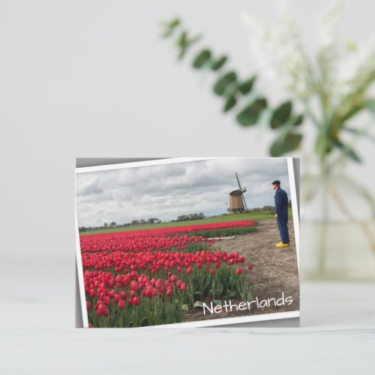 Boer inspecteert zijn tulpen en windmolen briefkaart (Staand voorkant)
