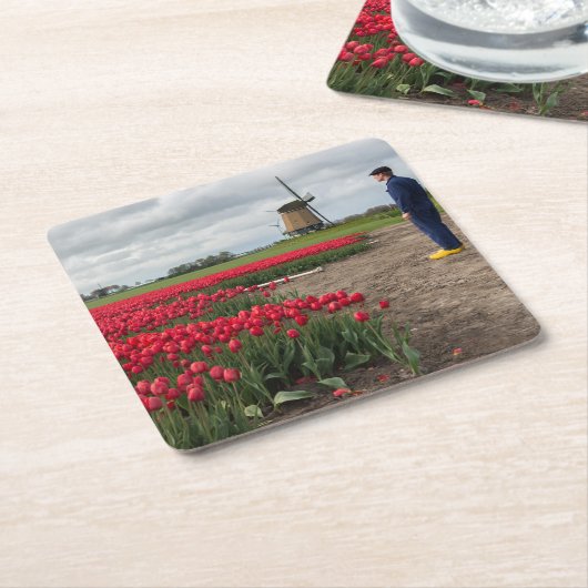 Boer inspecteert zijn tulpen en windmolen kartonnen onderzetters (Schuin)